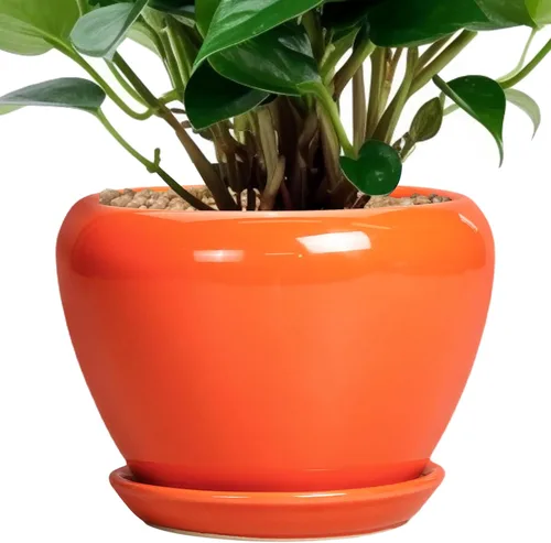Miniatura 31 de Maceta de Cerámica Moderna con Esmalte para Suculentas con Agujero de Drenaje y Platillo, Maceta Redonda de 6 Pulgadas para Plantas de Flores