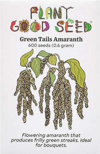 Miniatura 9 de Plant Good Seed Semillas orgánicas de tinte rojo hopi para plantar: hojas comestibles y semillas negras, flores rojas escarlatas, paquete de 600