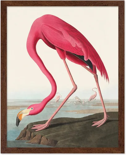Miniatura 24 de Poster Master Vintage James Audubon Póster - Impresión Retro de Cuervo - Arte de Aves de América - Arte de Aves - Regalo para Hombres, Mujeres