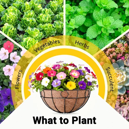 Miniatura 7 de ZeeDix Paquete de 2 cestas colgantes redondas para plantas al aire libre, cesta de alambre de metal de 12 pulgadas con forro de coco, macetas