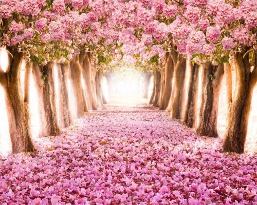 Miniatura 12 de AOFOTO Fondo de vinilo de flores de cerezo de primavera de 7 x 5 pies, diseño de flores rosadas, árbol de pétalos florales, boulevard, fotografía