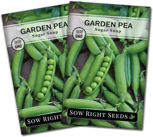Sow Right Seeds - Semillas de guisantes Sugar Snap para plantar - Paquete de reliquia sin OMG con instrucciones para plantar un huerto casero -