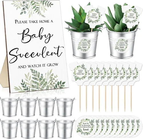 Fulmoon 151 piezas de regalos de baby shower para invitados incluyen 1 letrero de vegetación, 50 etiquetas de reloj para suculentas, 50 cubos de