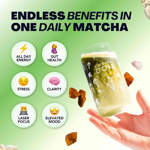 Miniatura 4 de Everyday Dose Mushroom Matcha+ Polvo de Matcha de Grado Ceremonial - Té Japonés con Colágeno Alimentado con Pasto, Melena de León, Chaga, L-Teanina