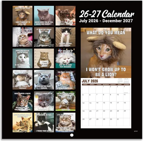 Miniatura 6 de Calendario de pared 2026 – enero 2026 – diciembre 2026, calendario divertido de gato 2026, calendario de 12 meses, fotos divertidas de memes