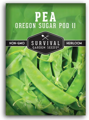 Oregon Sugar Pod II - Semillas de guisantes de nieve para plantar, vainas comestibles crujientes, guisantes de nieve estilo broche de azúcar de alto