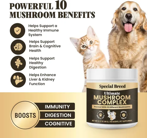 Miniatura 2 de Polvo de hongos para perros y gatos, complejo orgánico de hongos para apoyo inmunológico, cognición, vitalidad, suplemento de diez hongos con cola