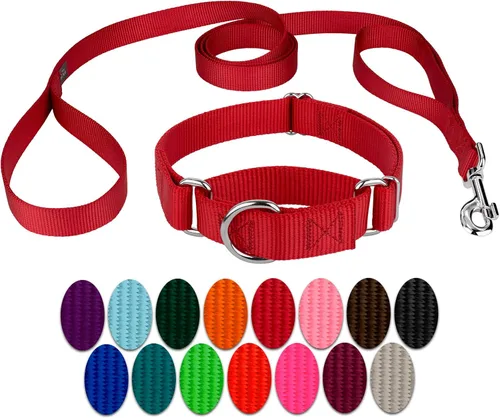 Miniatura 12 de Country Brook Petz - Collar para perro de nailon resistente Martingala azul hielo y correa de doble asa (1 pulgada, grande)