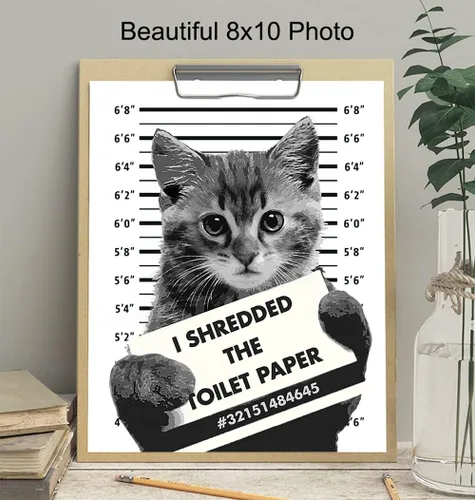 Miniatura 4 de Divertida decoración de pared de baño de gato, póster de decoración del hogar de 8 x 10 pulgadas, para baño, baño de invitados, tocador, regalo