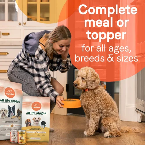 Miniatura 5 de Canidae All Life Stages - Alimento húmedo prémium para perros para todas las razas, todas las edades, receta de pollo y arroz, 13 onzas (caja de 6)