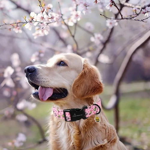 Miniatura 4 de ARING PET Collar Rosa para Perro, Lindos Collares Amarillos con Abejas para Cachorros Pequeños, Medianos y Grandes para Perros Chicos y Chicas-XS