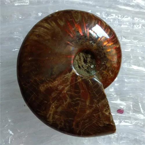 Miniatura 9 de LIXUAN Amonita Fósil Cleoniceras Iridesce Amonita Arco iris Espécimenes fósiles Amolita de Madagascar Fósil