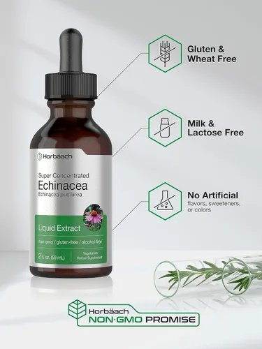 Miniatura 5 de Horbaach Echinacea Drops - Tintura de hierbas 2 onzas líquidas Extracto de raíz súper concentrado Líquido sin alcohol Suplemento