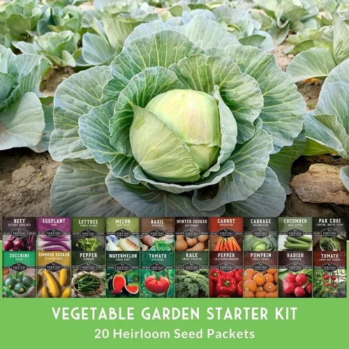 Miniatura 3 de Kit de iniciación de huerto – 20 semillas tradicionales sin OMG para plantar Kit de jardín familiar de regalo para jardines de la victoria
