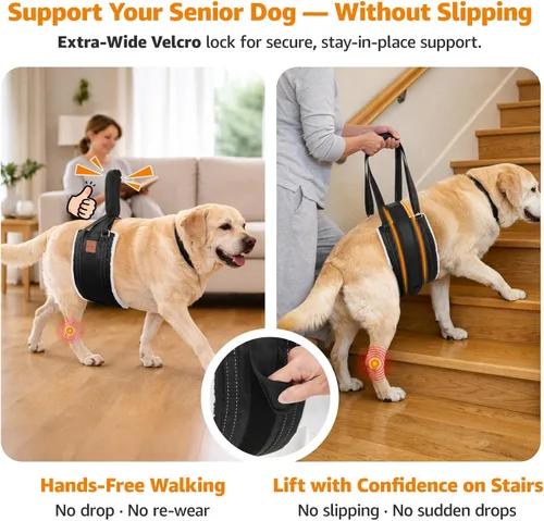 Miniatura 2 de LOOBANI Arnés de elevación para perros para patas traseras, arnés portátil para perros grandes, soporte para patas traseras, cómodo soporte