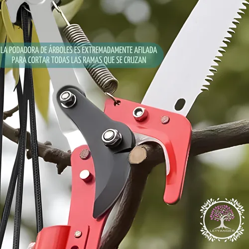 Miniatura 7 de Sierras de poste para podar árboles, podadoras extensibles de 7.3 a 27 pies, podadora de mango largo, hoja de acero afilada y tijeras para recortar