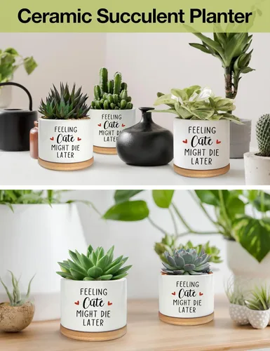 Miniatura 2 de Feeling Cute Might Die Later - Maceta de cerámica grabada para suculentas, aloe y cactus, divertidas macetas de interior con bandeja de bambú