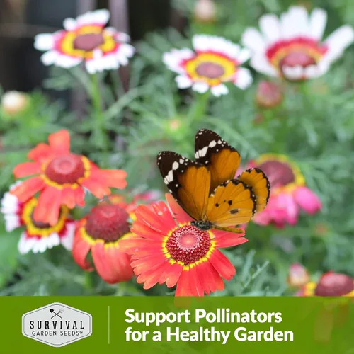 Miniatura 5 de 1 paquete de semillas de margaritas pintadas para plantar con instrucciones para cultivar flores silvestres perennes coloridas en el jardín
