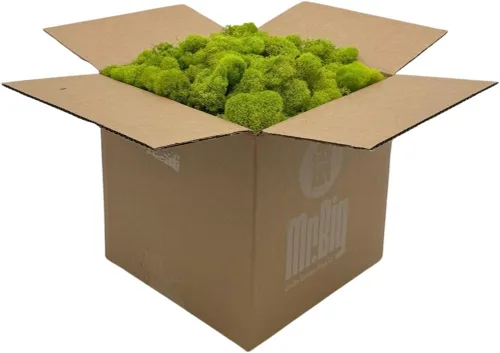 Miniatura 10 de Quality Growers - Musgo de reno preservado - Musgo para manualidades, decoración del hogar, arte, diseño y proyectos de bricolaje - No tóxico