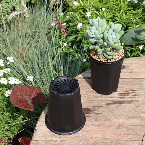 Miniatura 4 de Paquete de 14 macetas de plástico negro profundo de 4.40 pulgadas para vivero y plántulas, contenedor redondo para trasplante, corte, suculentas