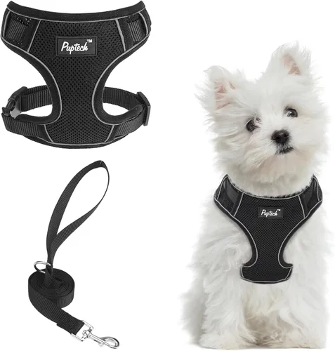 Miniatura 22 de PUPTECK Juego de arnés y correa para perro pequeño, arnés ajustable sin tirones para cachorro, chaleco de malla suave reflectante para mascotas