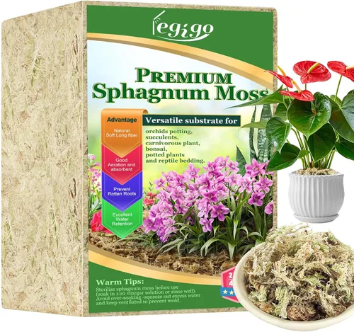 Miniatura 10 de Legigo 100 g de musgo natural esfagno para plantas, mezcla para macetas de orquídea de fibra larga 4QT, musgo esfagno seco para plantas