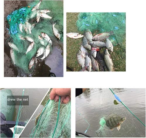 Miniatura 6 de Profundidad de 16 pies antibobinado 3 capas red de pesca envuelta cuerda plomo plomo longitud 262 pies red de enmalle para la supervivencia