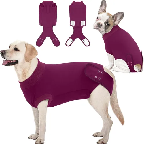 Miniatura 13 de IDOMIK Traje de recuperación para perros – Mono ajustable antilamidas para después de la cirugía, traje esterilizador de esterilización masculino