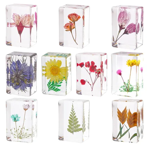 10 piezas de flor en resina espécimen prensado de flores pisapapeles en resina colección de muestras para escritorio, muestras de flores reales,