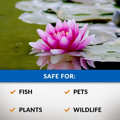 Miniatura 4 de CrystalClear Algae D-Solv - Alguicida de acción rápida registrado por la EPA, control de algas para fuentes y estanques al aire libre con koi