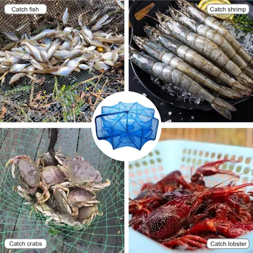 Miniatura 3 de Trampa de cebo de pesca portátil, red de pesca plegada, jaula de red plegable con cremallera, jaula de red de pesca octogonal para pececillos