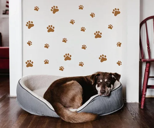 Miniatura 13 de Calcomanías de pared con diseño de pata de perro, juguete de perros, calcomanías de pared de vinilo extraíbles, calcomanías de huellas de perros