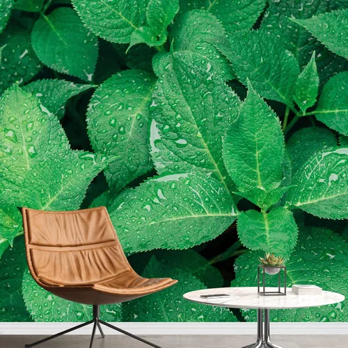 Miniatura 13 de wall26 serie Wall Mural Papel de empapelar autoadhesivo, grande., WMR-WP-X-D986-66x24x4