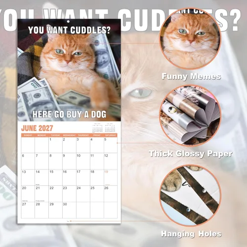 Miniatura 5 de Calendario de pared 2026 – enero 2026 – diciembre 2026, calendario divertido de gato 2026, calendario de 12 meses, fotos divertidas de memes