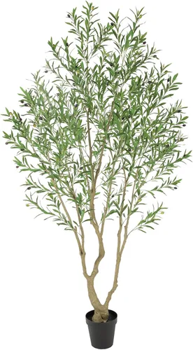 Miniatura 9 de Bellacat Árbol de olivo sintético de 6 pies, olivos artificiales para interiores con tronco de madera natural y hojas y frutas realistas. Olivo