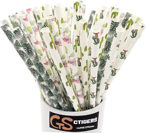 Miniatura 11 de Pajitas de papel biodegradables con estampado de bambú para caja de fiesta de 100