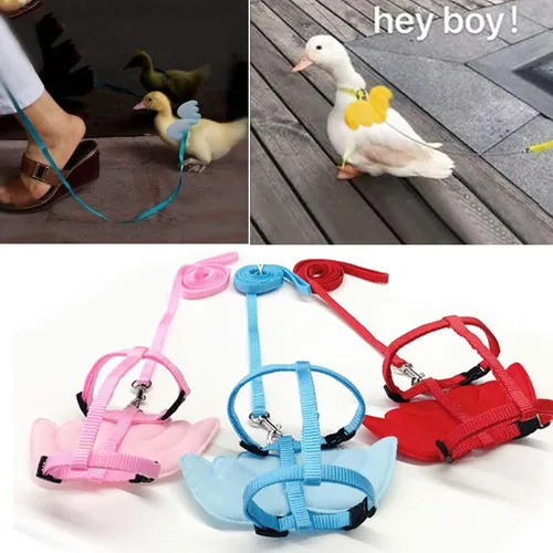 Miniatura 4 de QBLEEV Pet Cole Duck - Arnés para caminar al aire libre, cuerda de tracción ajustable para entrenamiento al aire libre para gallina y gallina Azul