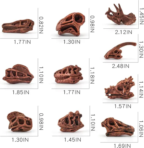 Miniatura 5 de LC JoyCre Juego de 11 piezas de mini huesos de dinosaurio realistas, cráneo T-rex para caja de arena, juguetes para niños, Carnotaurus
