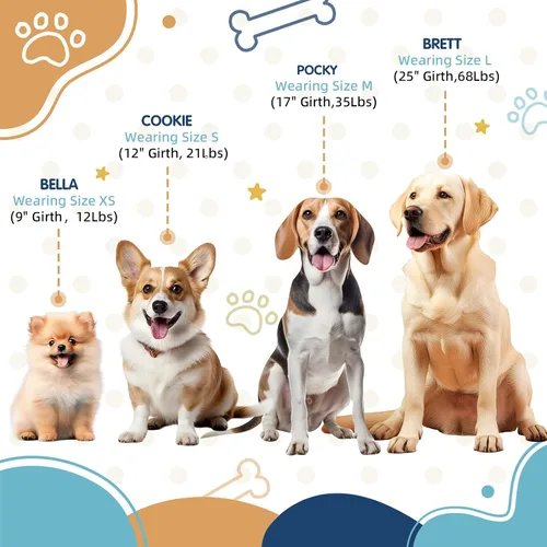 Miniatura 3 de XS - Arnés para perro, diseño ajustable a medida, tricolor, resistente, fácil de caminar, para perros pequeños, azul naranja
