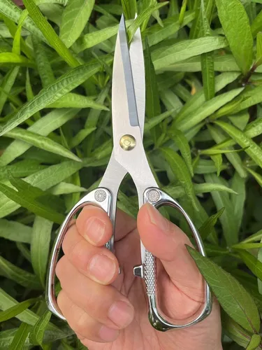 Miniatura 6 de Tijeras para plantas de interior, tijeras para recortar brotes, Japón SK5 Tijeras florales de acero inoxidable, flores, hierbas y cortadores