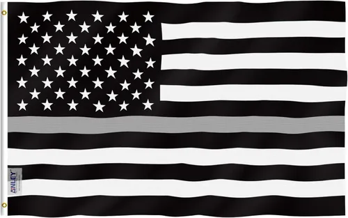 Miniatura 9 de Bandera histórica de los Estados Unidos Blanco