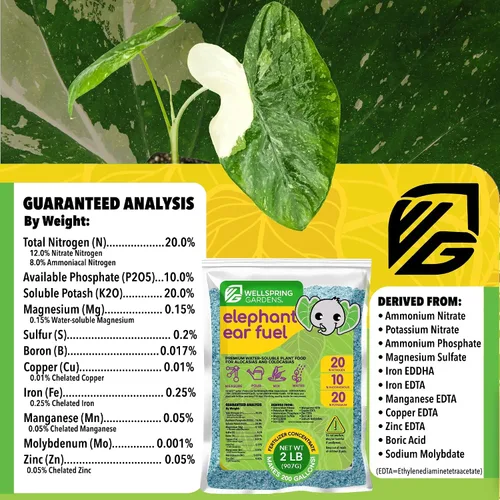 Miniatura 2 de Wellspring Gardens - Fertilizante para plantas de combustible para orejas de elefante, fórmula de alimentos vegetales para alocasias y colocasias