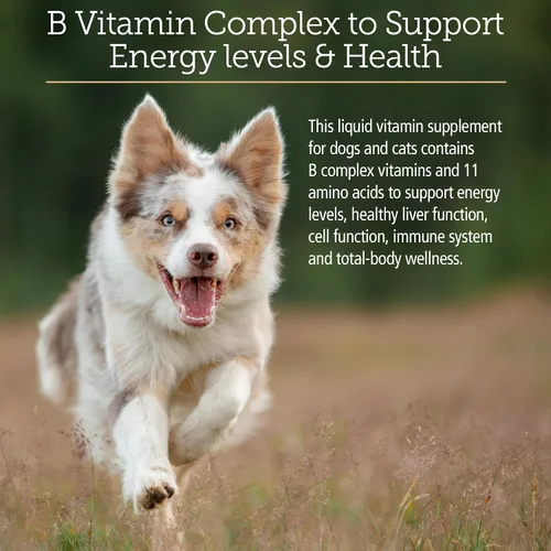 Miniatura 3 de Rx Vitamins Amino B Plex Suplemento para gatos y perros, líquido de complejo de vitamina B más aminoácidos para perros y gatos, potenciador