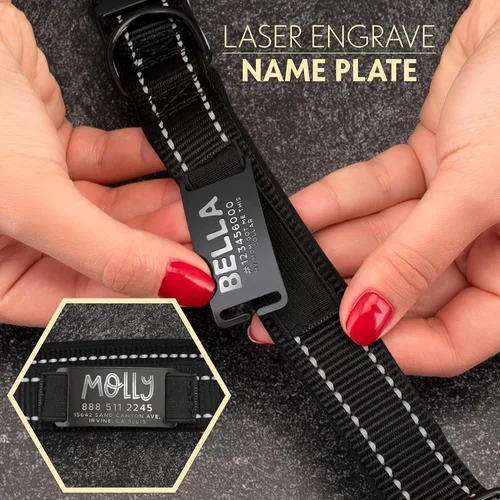 Miniatura 2 de ACTUALIZADO - Collares de perro personalizados y placa de identificación grabada, collar de perro de nailon reflectante, personalizable en 11