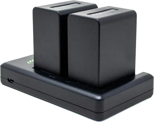 Wasabi Power Batería (paquete de 2) y cargador dual USB compatible con Sony NP-FV100 y DCR-SR15, DCR-SX45, FDR-AX100, HDR-CX105, HC9, PJ30V, TD20V,