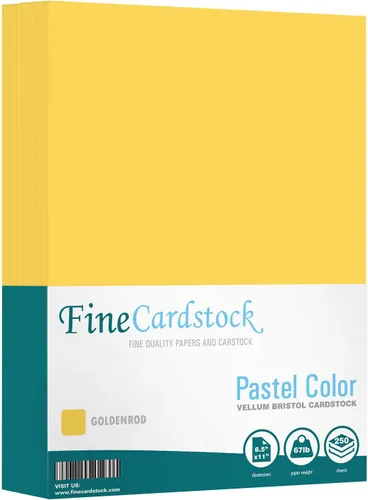 Miniatura 31 de Papel de cartulina de color 67 Vellum Bristol, tamaños: 8.5 x 11 11 x 17 8.5 x 14 1 resma de 250 hojas por paquete. (8.5 x 11 azul)