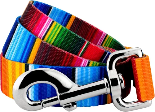 Miniatura 11 de Country Brook Design® Correa para perro Native Arizona de 1 pulgada - 6 pies Arizona nativa