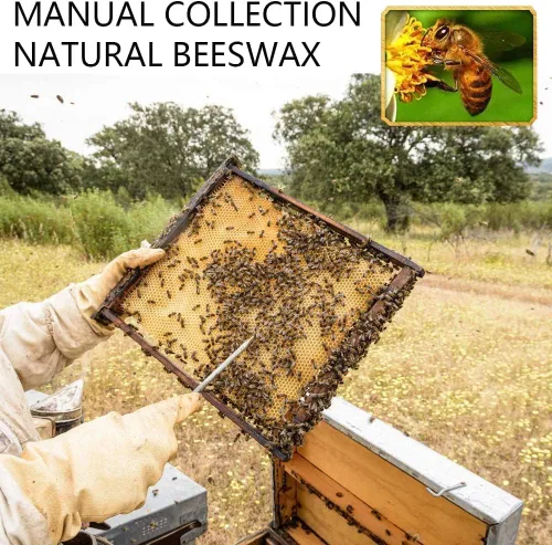 Miniatura 3 de Pastillas de cera de abeja blanca, pellets de cera de abeja para hacer velas, proyectos de bricolaje (6 libras)