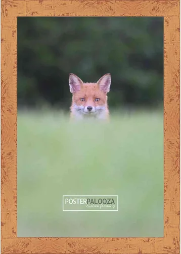 Miniatura 2 de Poster Palooza Marco de fotos de 8 x 5 pulgadas, color naranja Shabby Chic/Farmhouse - Acrílico UV, respaldo de tablero de espuma y accesorios