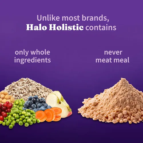 Miniatura 4 de Halo Receta holística a base de plantas con superalimentos, salud digestiva completa, bolsa de comida seca vegana para perros, fórmula para adultos